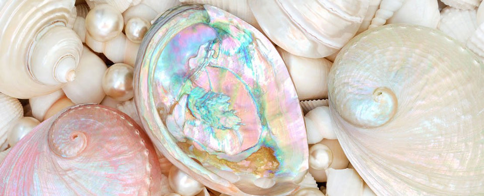 Radiant Moments: Mother of Pearl Watch Collection