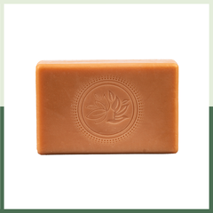 Naija Aloe Vera & Mint 100% Organic Bathing Soap - 100 gm