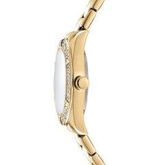 DKNY DK1L107 Analog Green Round Dial Women's Watch - DK1L107M0065