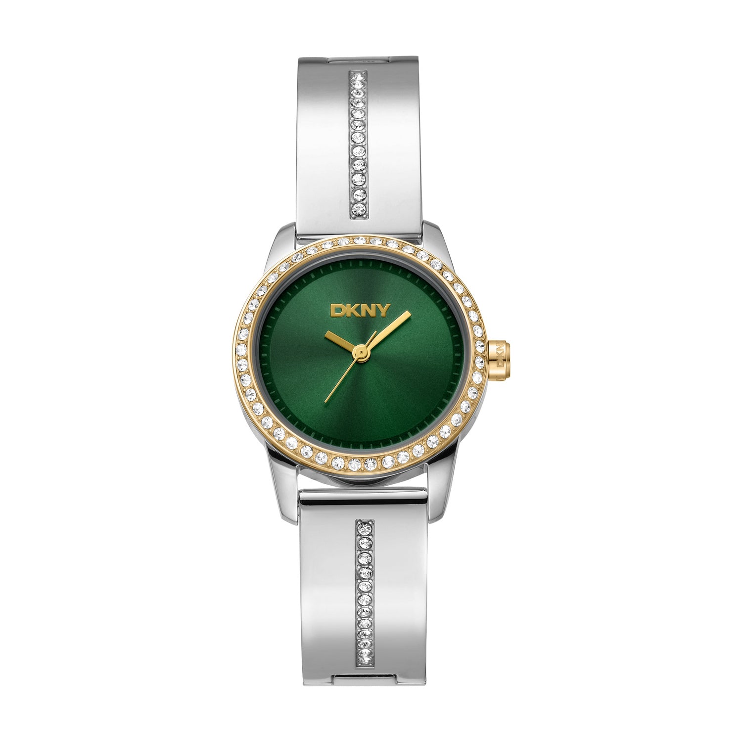 DKNY DK1L160 Analog Green Round Dial Women's Watch - DK1L160M0065