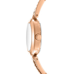 DKNY DK1L170 Analog Rose Gold Round Dial Women's Watch - DK1L170M0245