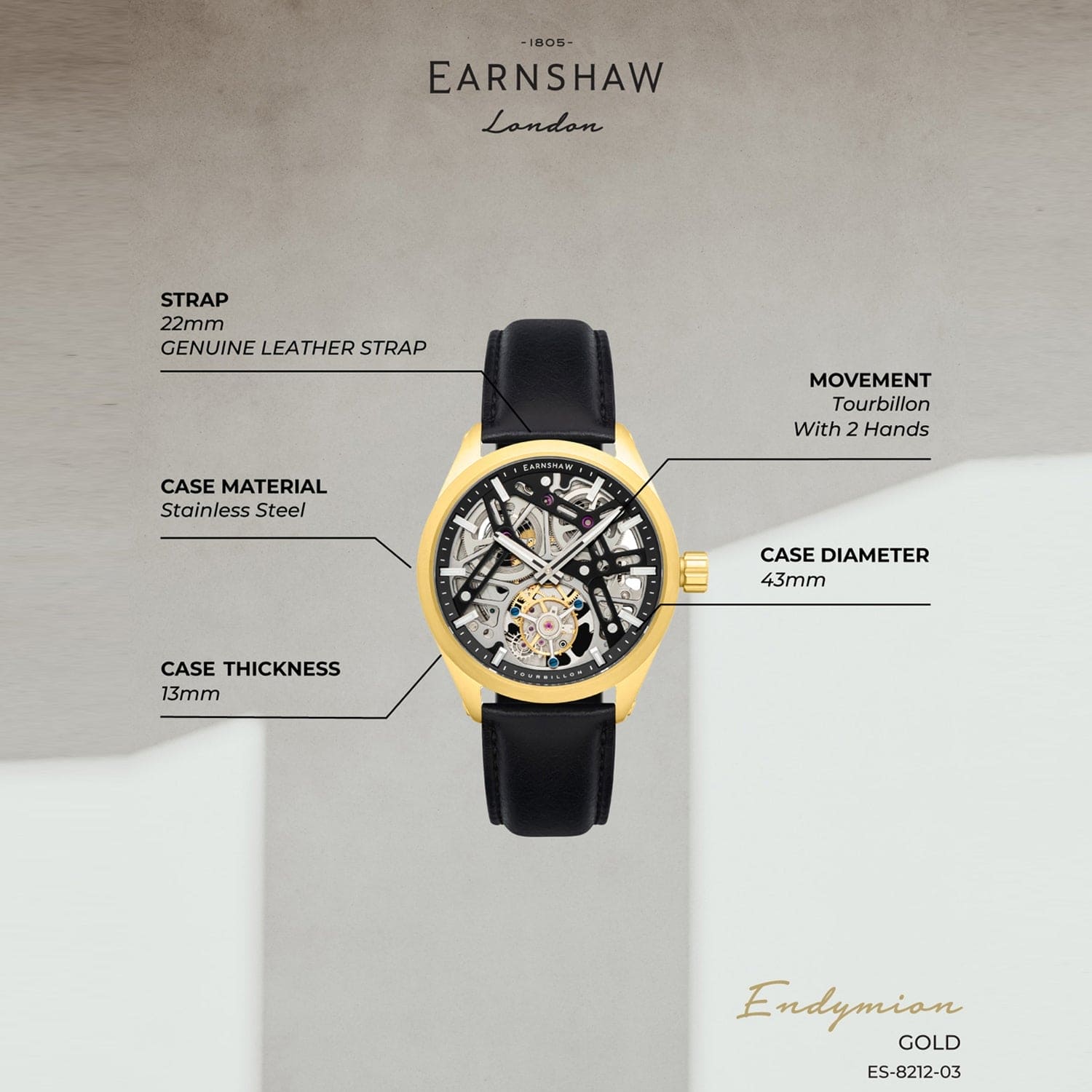 Earnshaw Tourbillon Limited Edition Skeleton Men's Watch - ES-8212-03