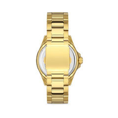 Ferro F11253A-B2 Lucca Analog Watch for Men