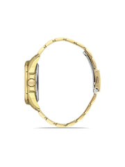 Ferro Mechanical Men's Watch - F11323A-B