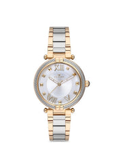 Ferro F21046A-1100-D5 Lucca Analog Watch for Women