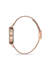Ferro Lucca Analog Watch for Women F21926C-C