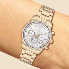 Ferro Chronograph Women's Watch - FM41107A-B