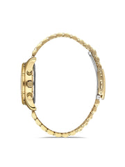 Ferro Chronograph Women's Watch - FM41172A-B