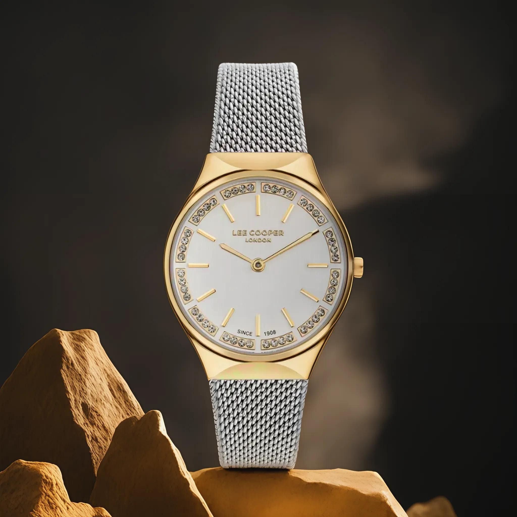 Lee Cooper Analog Women's Watch - LC07862.230