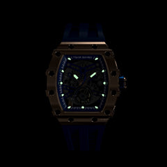 TSAR BOMBA Automatic 21 Jewels Luminous Dial Sapphire Crystal Men's Watch -  TB8208A-17
