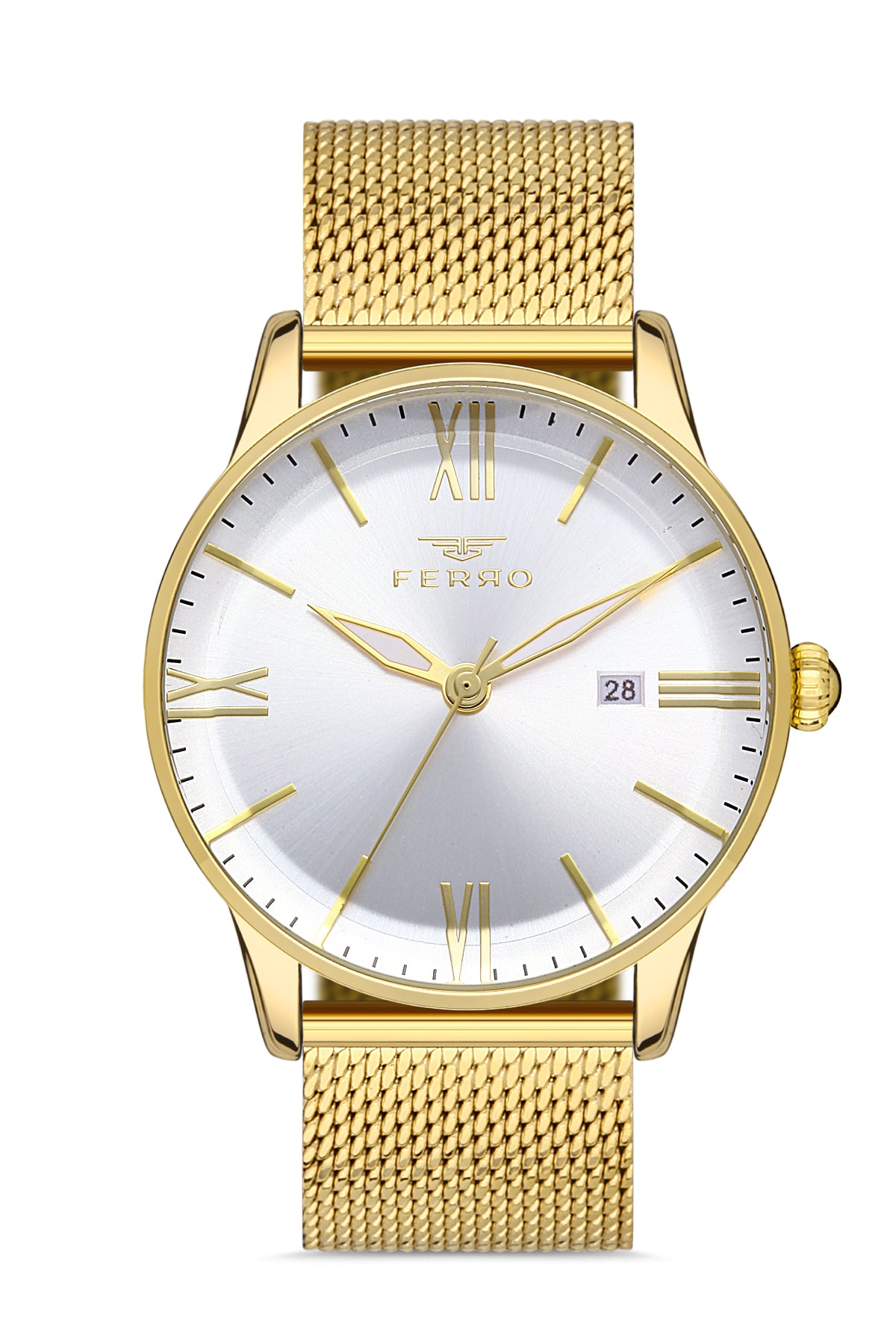 Ferro Siena Classica Analog Silver Round Dial Men's Watch - F11182C-B